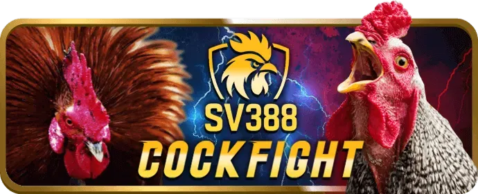 Chọn trò chơi và bắt đầu tại 79bet